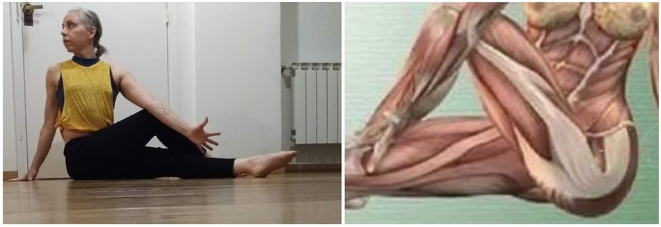 clases de stretching elongacion estiramiento